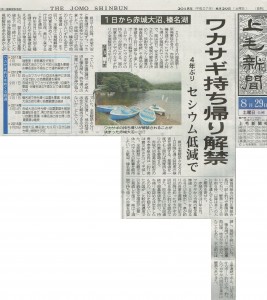 上毛新聞記事20150829